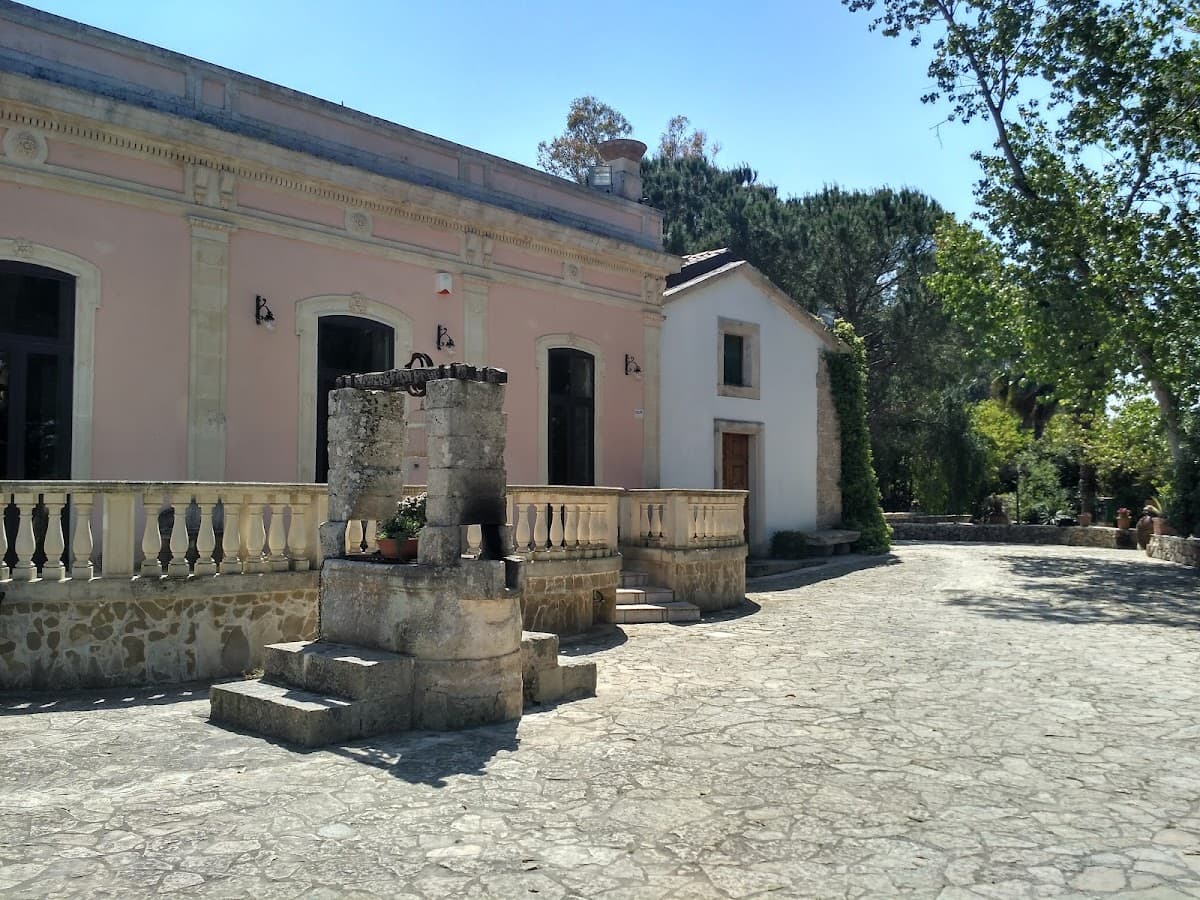 Foto attività 6